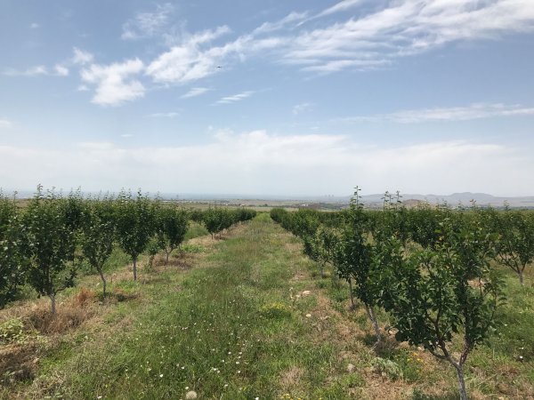 Ashtarak