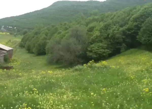 с. Мармарик