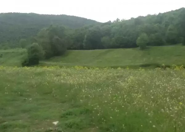 с. Мармарик
