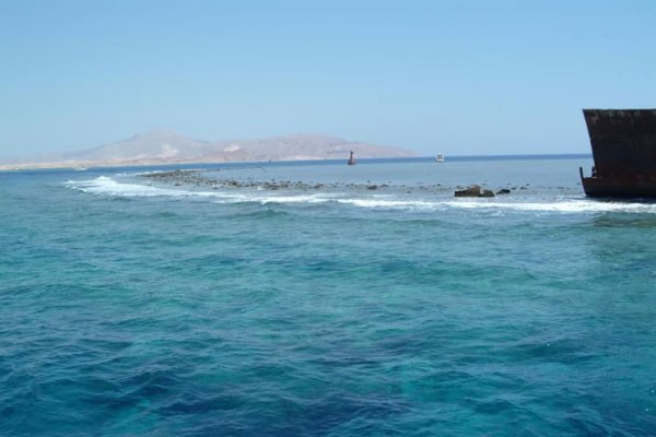 Սաուդյան Արաբիան Եվ Եգիպտոսը Կարմիր Ծովի Վրա Կամուրջ Կկառուցեն