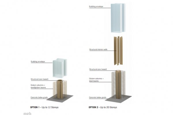Քաղաքի  Բետոնե Ջունգլիները  Վերածվում են Անտառների