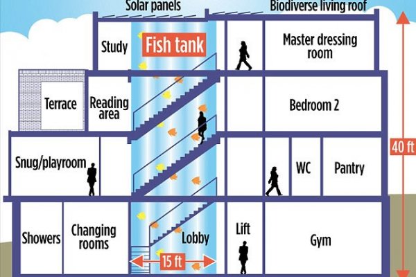 Thierry Henry To Build A House With Four-Storey Aquarium