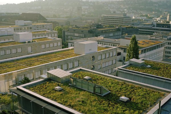 «Կանաչ» Տանիքը Կարող Է 84 Տոկոսով Իջեցնել Տան Ջերմաստիճանը