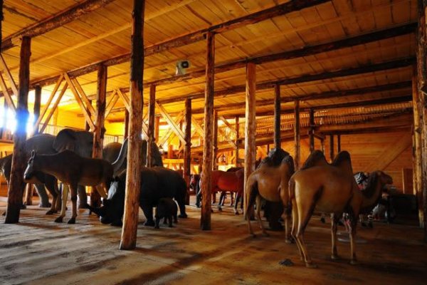 Life Size Noah's Ark Opens to the Public