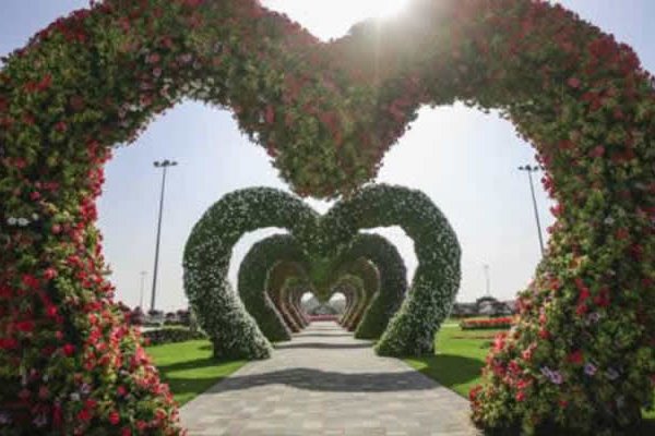 Дубай Снова Выделился Открыв Крупнейший в Мире Парк Цветов