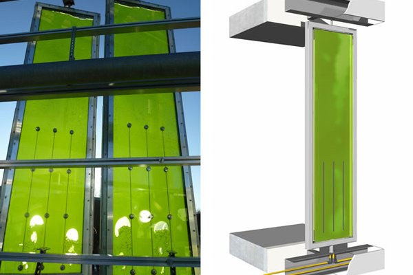 Первое в Мире Питаемое  Водорослями Здание Откроется в Германии