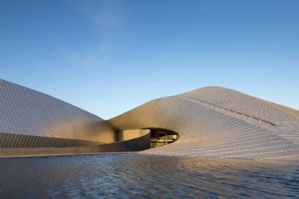 “Голубая Планета” – Самый Большой Аквариум Европы Открылся В Копенгагене