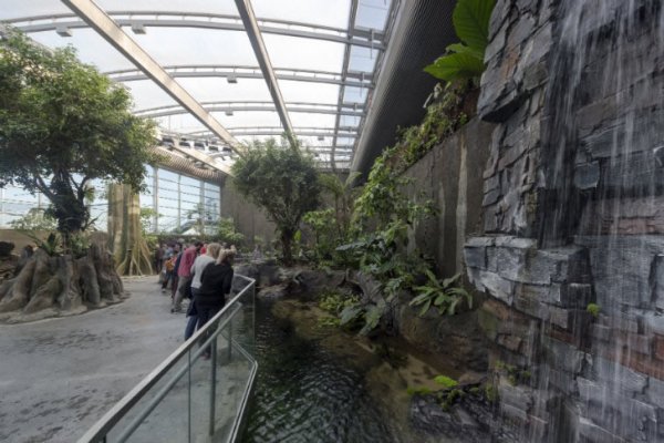 “Голубая Планета” – Самый Большой Аквариум Европы Открылся В Копенгагене