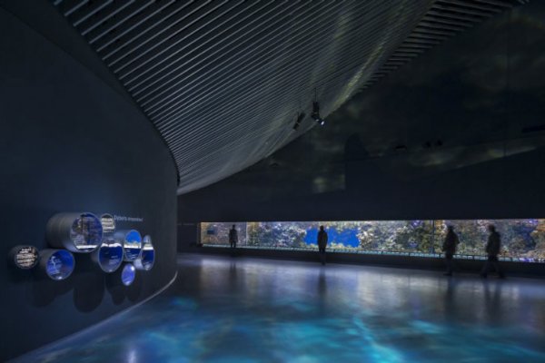 “Голубая Планета” – Самый Большой Аквариум Европы Открылся В Копенгагене