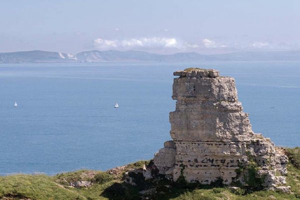 Մահացած Տեսակների Պատվին Կկառուցվի Դիտարան