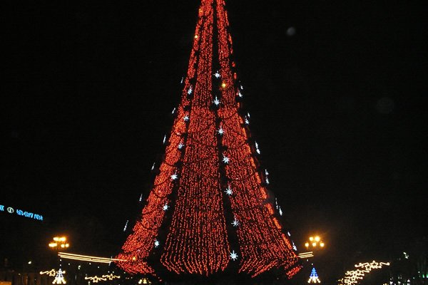 Ամանորյա Տոնածառը