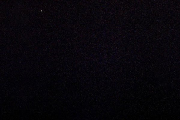 Քնել Ձկների Հետ