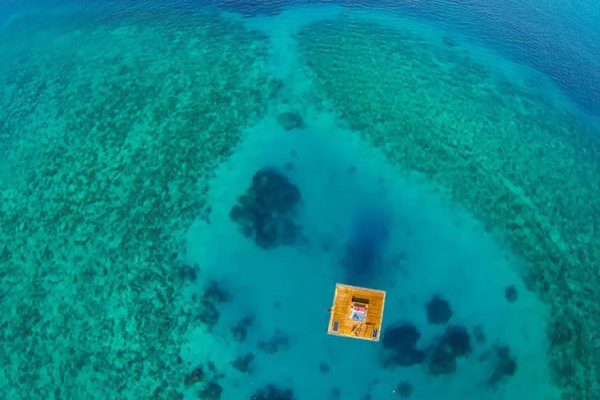 Քնել Ձկների Հետ