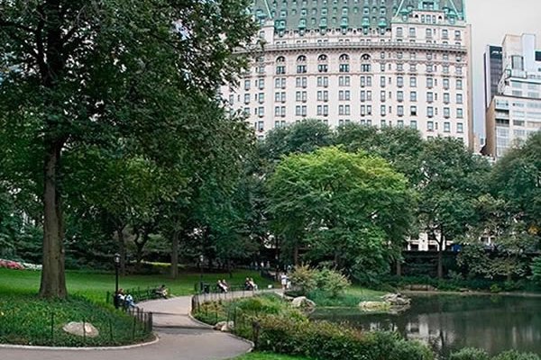 Իգոր Կրուտոյը Նյու Յորքում