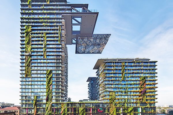 Աշխարհի Ամենաբարձր Ուղղահայաց Այգին Ապրում Եվ Շնչում Է Սիդնեյում