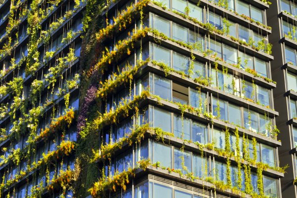 The World's Vertical Garden Lives and Breathes In Sydney