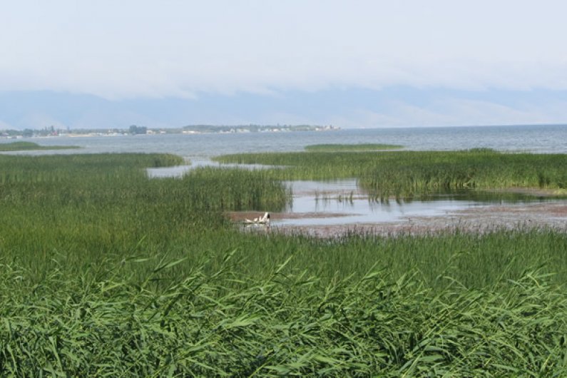 Севан вблиз села Лчашен. Вода покрыла обширные площади почвенных полей