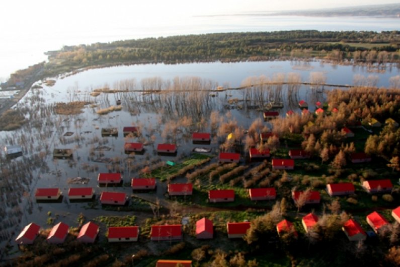 Лаванда Сити