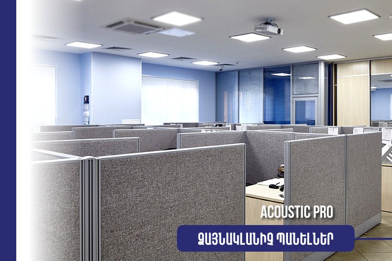 Ձայնակլանիչ Պանելներ Ակուստիկ Պրո