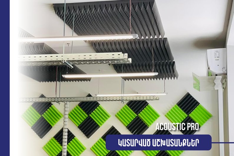 Ակուստիկ Պրո
