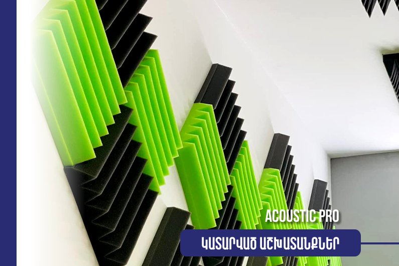 Ակուստիկ Պրո