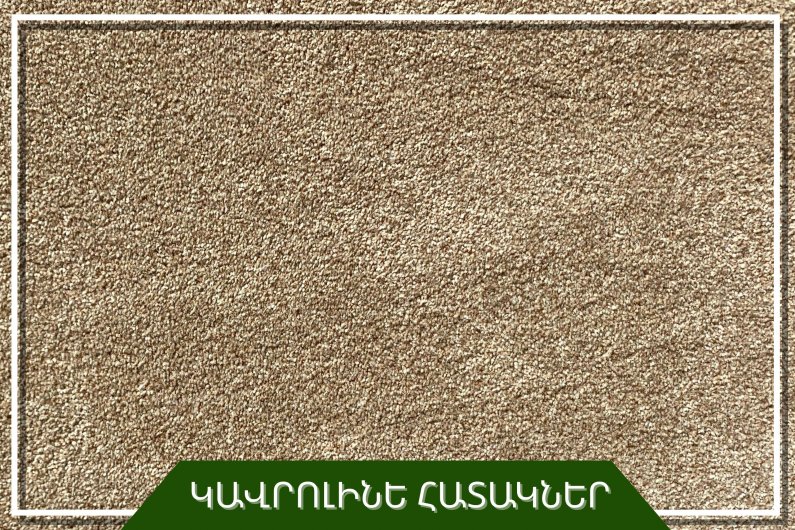 Ковровое покрытие